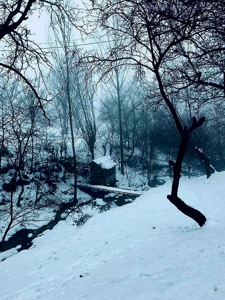 ჩასაფრებულა მოგონებები...