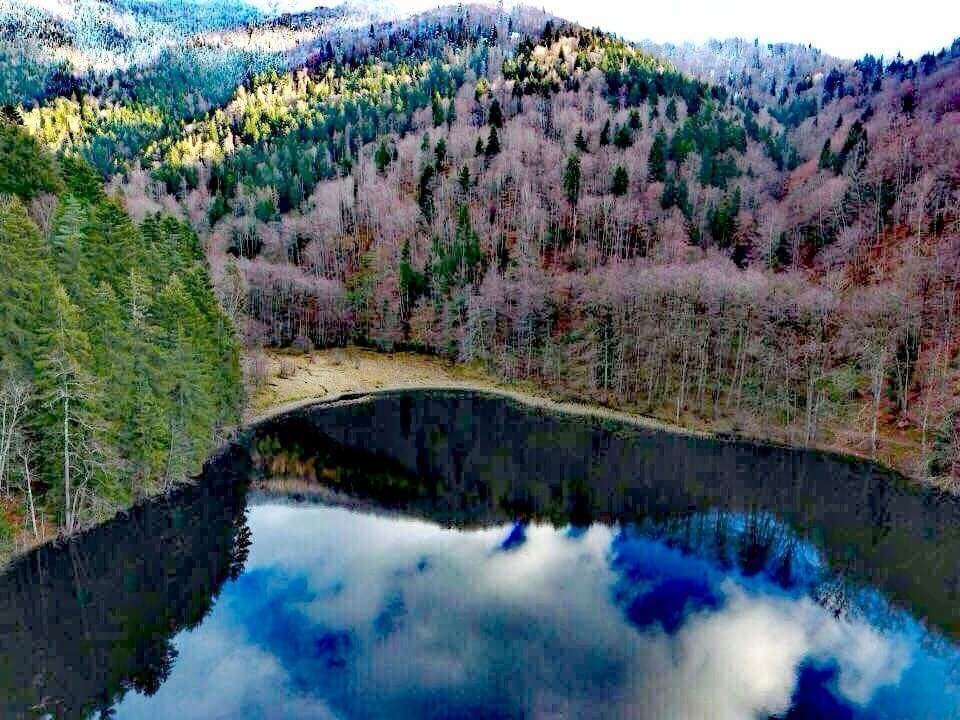  ფერთა სამოსელი… 