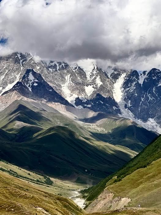შხარა
